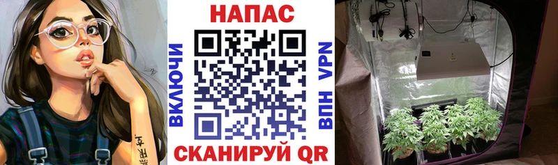 KRAKEN ONION  Неман  Бошки Шишки семена  купить  сайты 